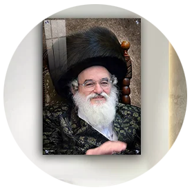 חסידות ויזניץ